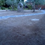 Jardin antes de los servicios de serlingo