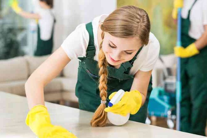 profesionales de la limpieza profesionales de la limpieza