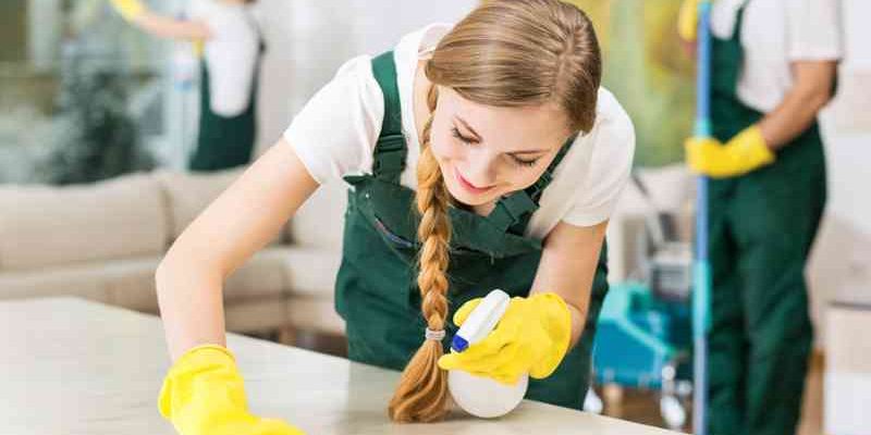 profesionales de la limpieza profesionales de la limpieza