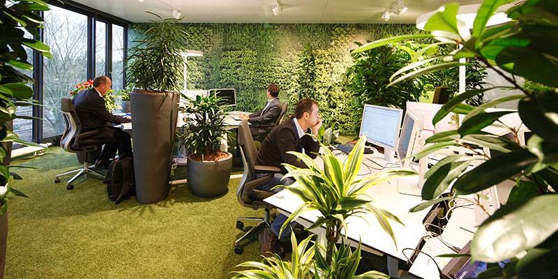 Mantenimiento de espacios verdes Mantenimiento de espacios verdes