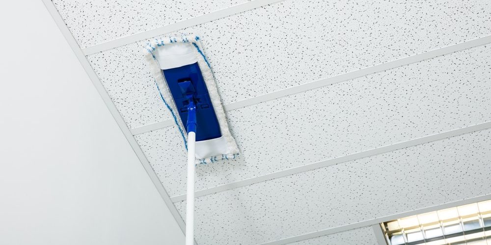 Karu Araña de tela en embudo instante Cómo limpiar distintos tipos de techos en empresas?