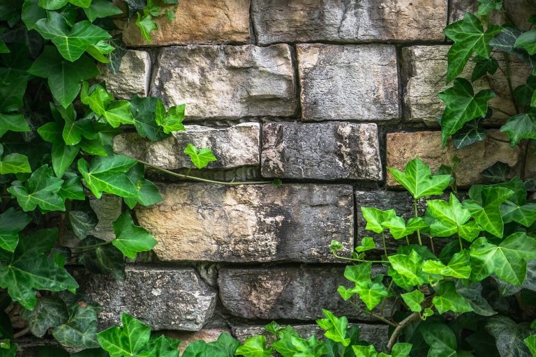 fachada_pedra_cemento fachada_pedra_cemento