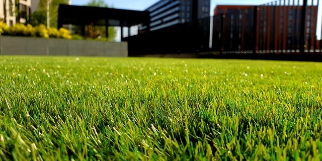 cepillo-cesped-limpieza-serlingo limpieza del césped artificial