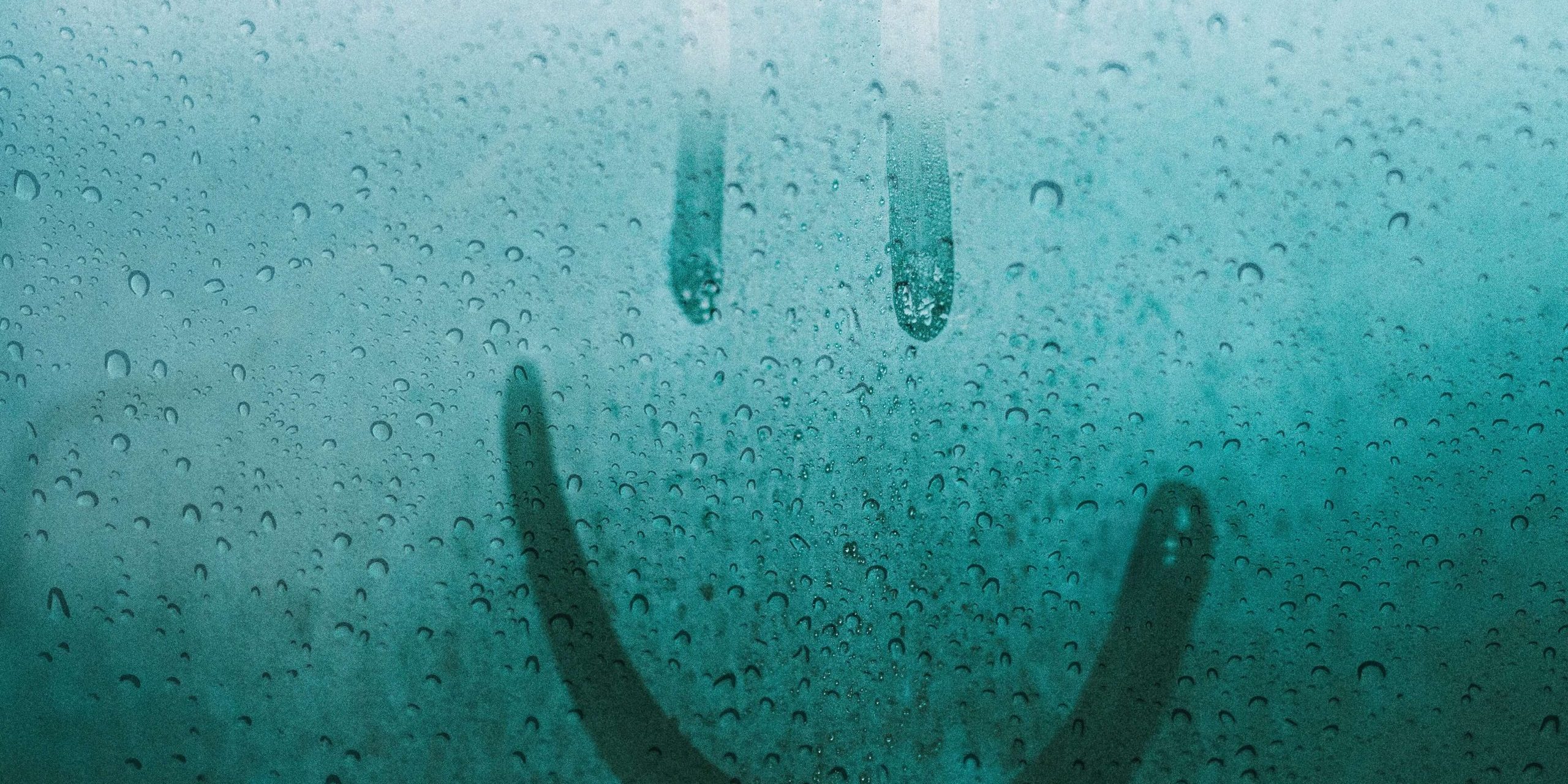 pexels-lisa-fotios-2935956 (1) Cómo deshumidificar una habitación de forma natural